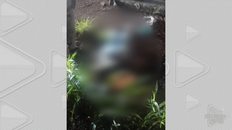 VÍDEO: mulher é encontrada morta em uma área de mata da Zona Sul de Manaus
