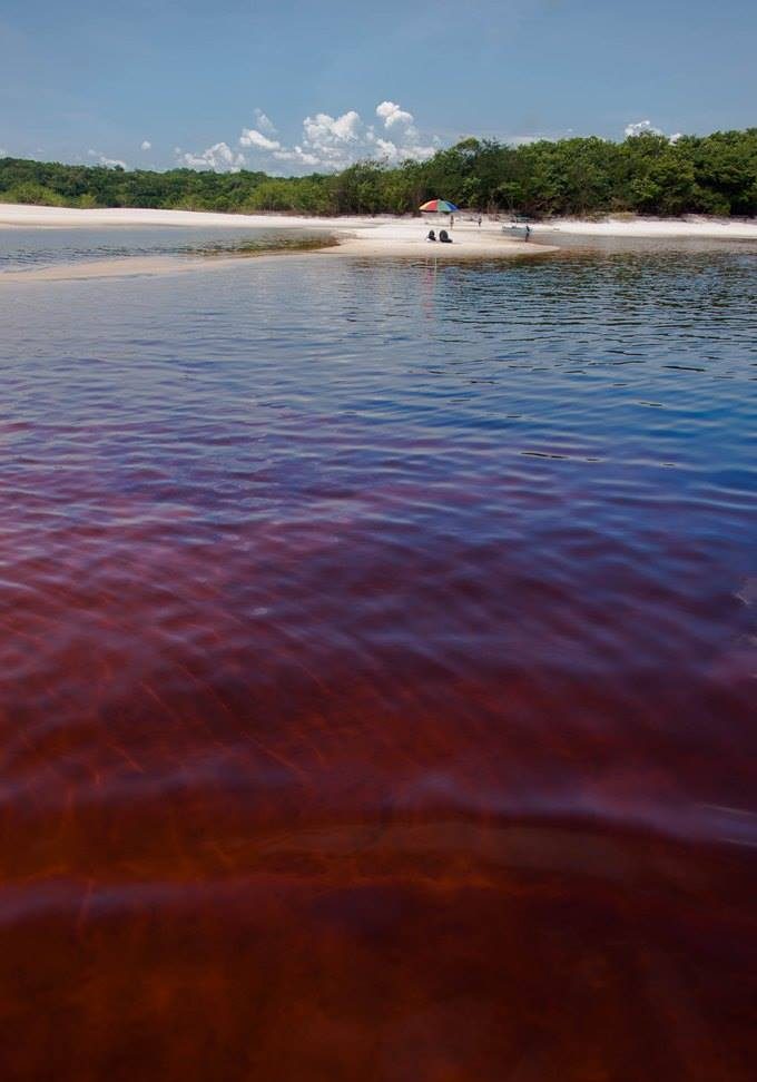 Praias no Parque Nacional de Anavilhanas Foto: Reprodução/ Facebook @parnaanavilhanas