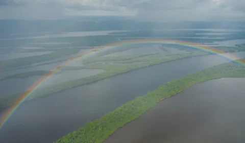 Parque Nacional de Anavilhanas: conheça os atrativos do arquipélago no AM
