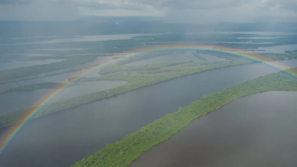 Parque Nacional de Anavilhanas: conheça os atrativos do arquipélago no AM