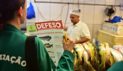 Período de defeso no AM inicia nesta terça-feira (15), diz Ipaam