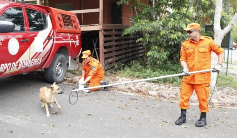 Mais de 130 animais domésticos em situação de risco são resgatados em Manaus