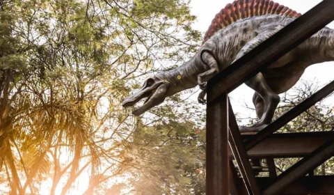 Réplicas de dinossauros e diversão: conheça o Parque temático Terra dos Dinos