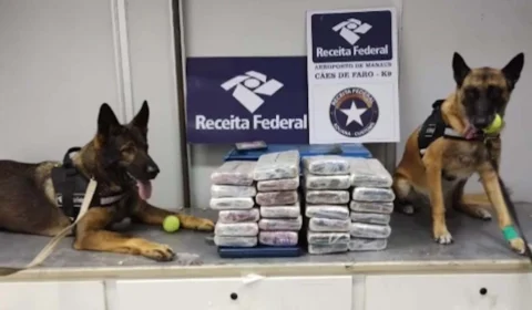 Vídeo: 27,3 kg de drogas são apreendidos dentro de saco de castanha, em Manaus