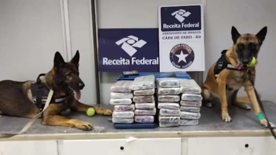 Vídeo: 27,3 kg de drogas são apreendidos dentro de saco de castanha, em Manaus