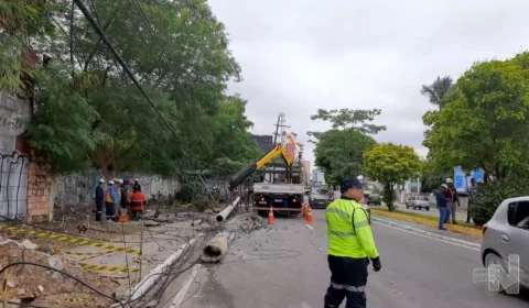 VÍDEO: caminhão derruba poste de energia em avenida da Zona Leste de Manaus