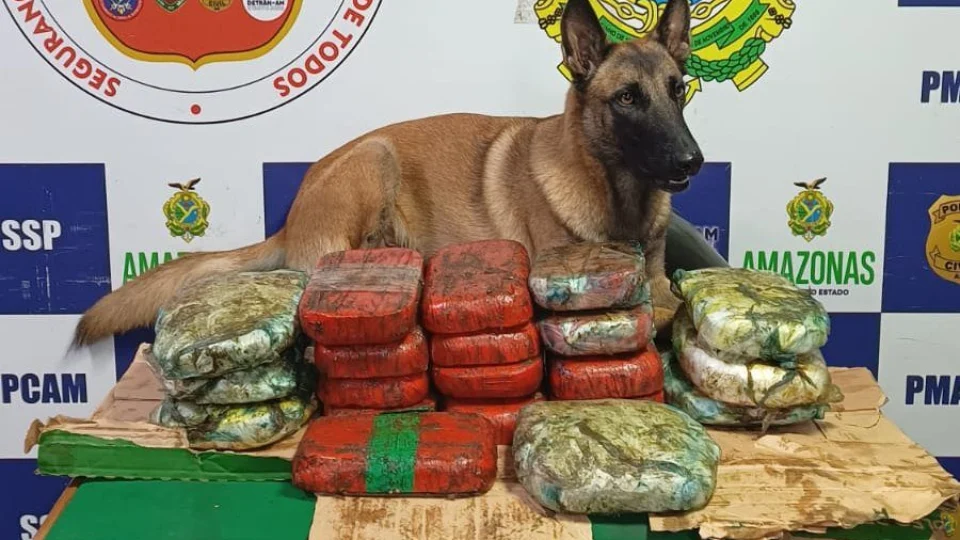 Cão farejador encontra 20 kg de cocaína em embarcação em Coari-AM