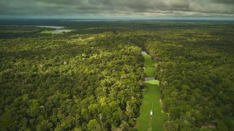 Pesquisa aponta que desgaste do bioma amazônico pode se tornar irreversível