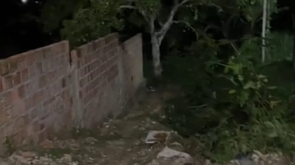 Corpo é encontrado com marcas de tiros em matagal na Zona Leste de Manaus