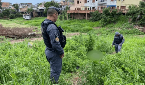 Homem é assassinado a tiros em área de mata no Centro, Zona Sul de Manaus