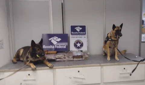 Receita federal apreende 29kg de drogas dentro de pacotes de açaí em Manaus