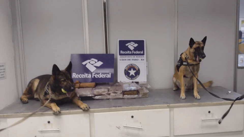 Receita federal apreende 29kg de drogas dentro de pacotes de açaí em Manaus