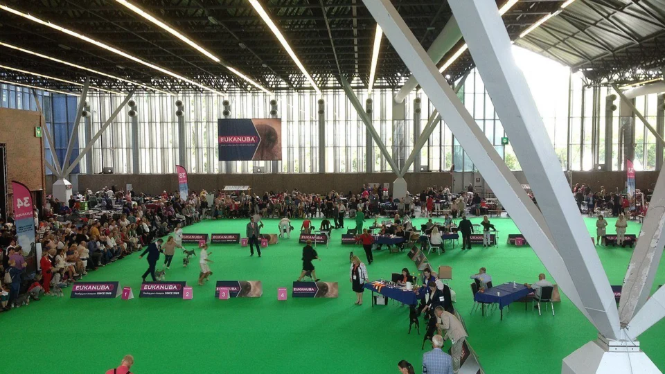 World Dog Show 2022 apresentará 300 raças de cachorros de 50 países em SP