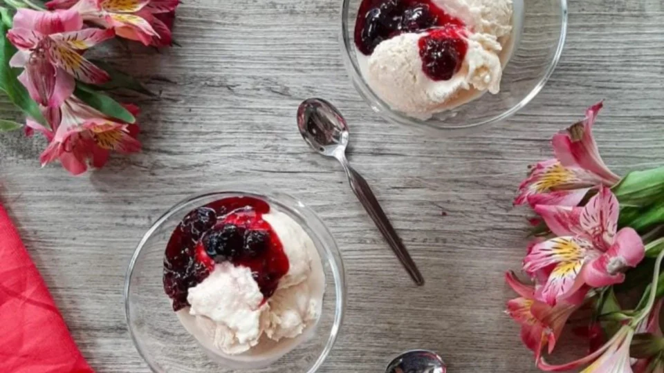 Receita Fácil: aprenda a fazer frozen de iogurte com frutas vermelhas em 30m