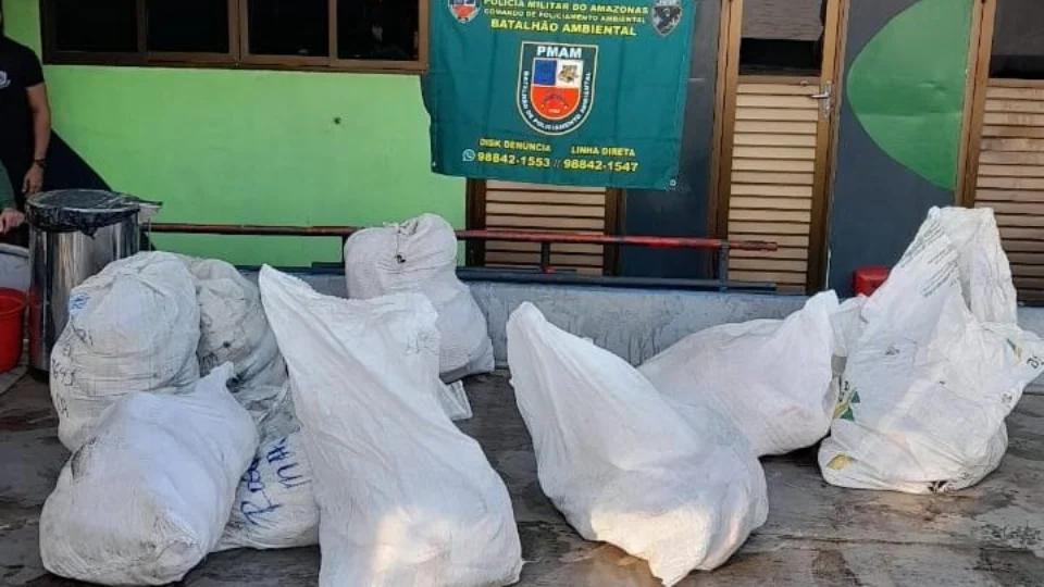 Polícia apreende 600 kg pescado ilegal e carne de quelônio em Coari-AM