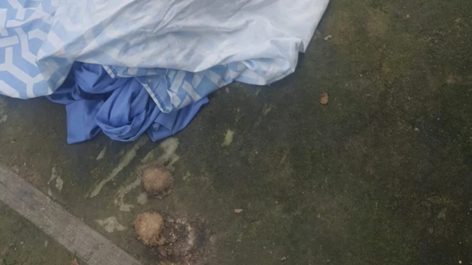 Adolescente de 13 anos morre afogada após salvar 2 crianças em Manaus