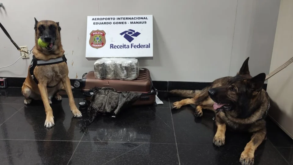 Agentes caninos encontram 14kg de drogas dentro de malas em Manaus