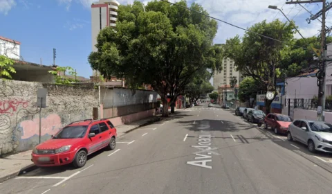 Plantar árvores na rua pode salvar vidas, revela pesquisa do ISGlobal
