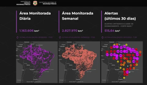 Tecnologia Geoespacial ajuda combater crimes ambientais no Brasil