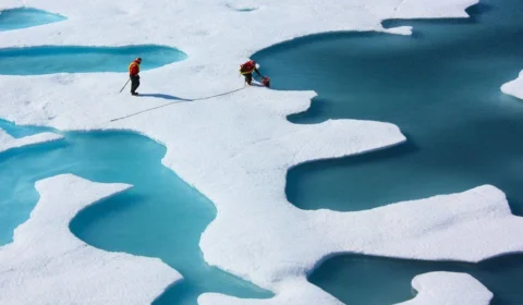 Mudança climática transforma o Ártico e deixa a região mais quente em anos