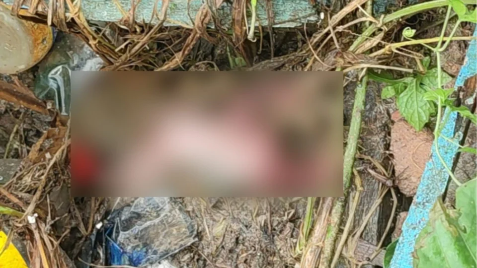 Feto é encontrado dentro de tubulação na Zona Sul de Manaus