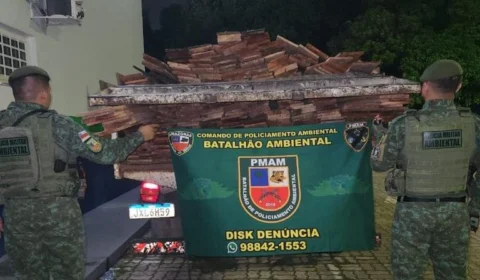Crime ambiental: polícia prende 4 suspeitos em ações distintas no Amazonas