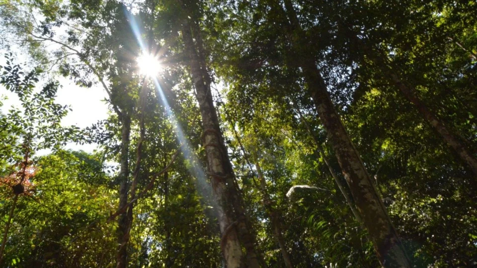 Inscrições de doutorado em Clima e Ambiente do Inpa/UEA seguem abertas