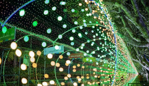 Enquete consulta público sobre atrativo natalino com ‘neve’ em Manaus