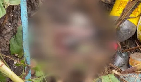 VÍDEO: feto é encontrado em tubulação de esgoto doméstica na Zona Sul de Manaus