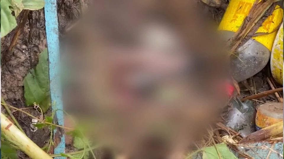 VÍDEO: feto é encontrado em tubulação de esgoto doméstica na Zona Sul de Manaus