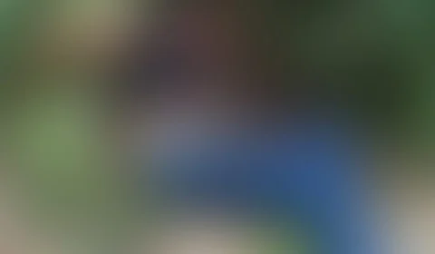 Homem é encontrado amarrado em árvore após tentativa de homicídio em Manaus