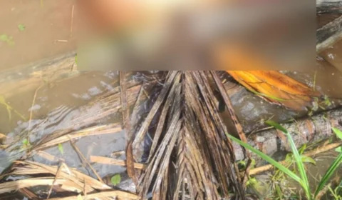 Homem é encontrado morto dentro de igarapé na Zona Leste de Manaus