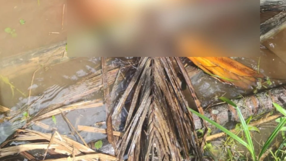 Homem é encontrado morto dentro de igarapé na Zona Leste de Manaus