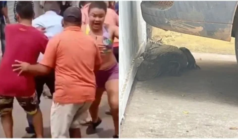 VÍDEO: Jacaré corre atrás de moradores após ter sido cercado em rua no Piauí