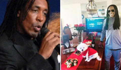 Ronnie Turner, filho da cantora Tina Turner, morre aos 62 anos