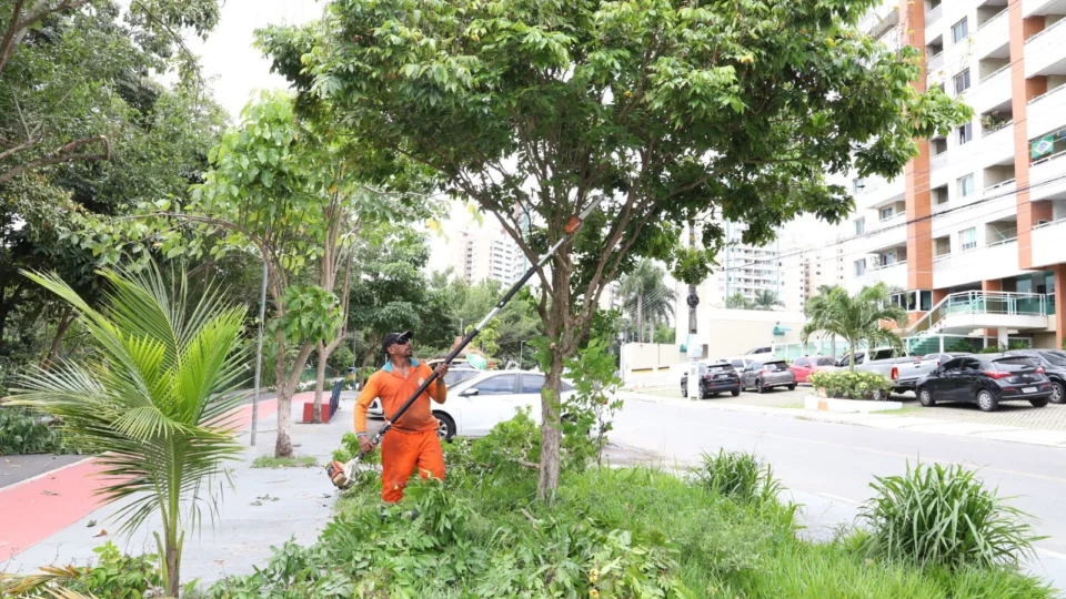 Passeio do Mindu recebe poda de árvores na Zona Centro-Sul de Manaus