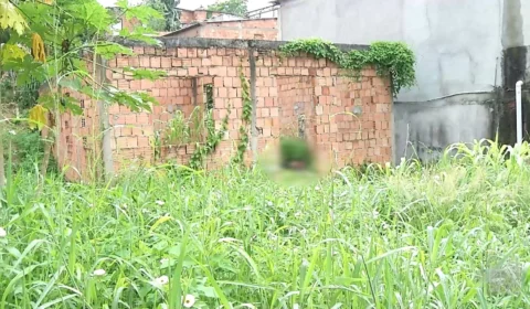 VÍDEO: polícia encontra corpo com marcas de perfurações de faca em Manaus