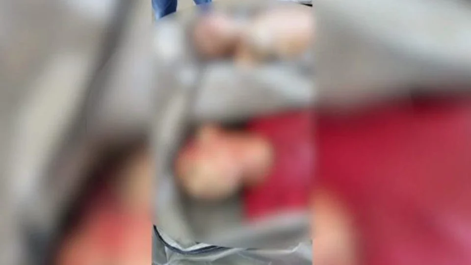 Integrantes de facção criminosa morrem durante confronto com a polícia no AM