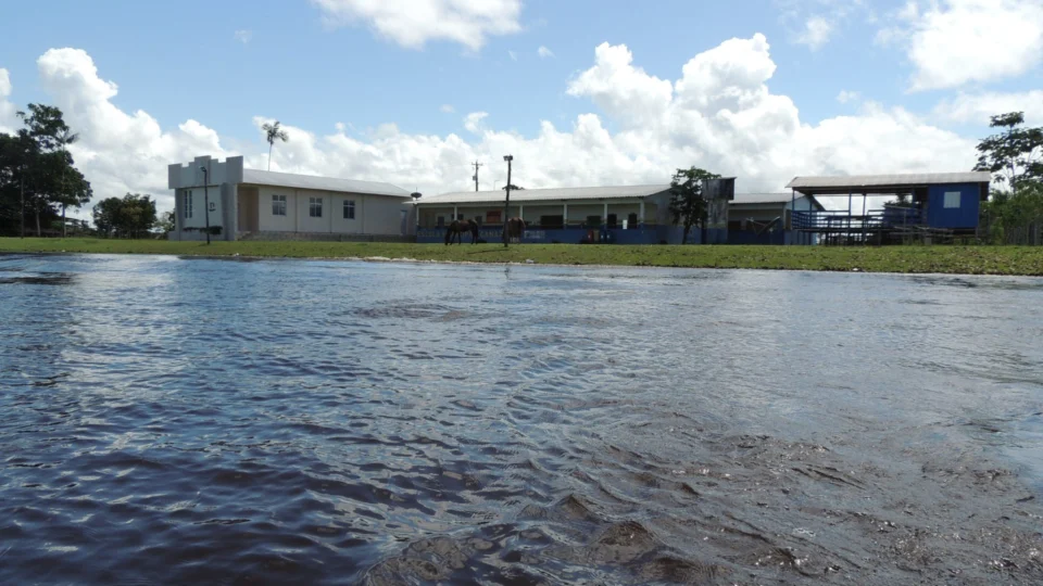 Ano letivo das escolas ribeirinhas do Rio Negro inicia na sexta (6), em Manaus