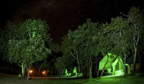 Glamping: confira 5 pontos turísticos para realizar acampamentos glamourosos