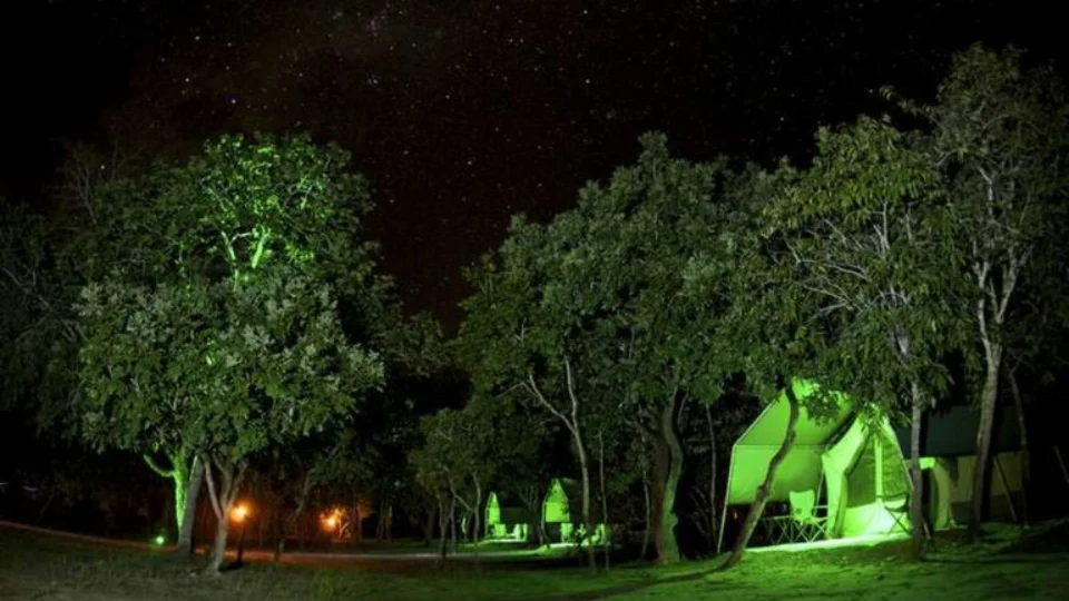 Glamping: confira 5 pontos turísticos para realizar acampamentos glamourosos