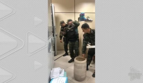 Vídeo: cobra é encontrada embaixo de armário de secretaria em Belém, no Pará