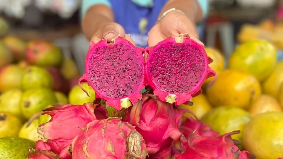 Feiras da ADS: frutas exóticas destacam-se em safra de janeiro no Amazonas