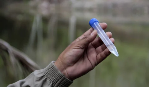 Malária: Manaus apresenta redução do número de casos dos últimos 4 anos