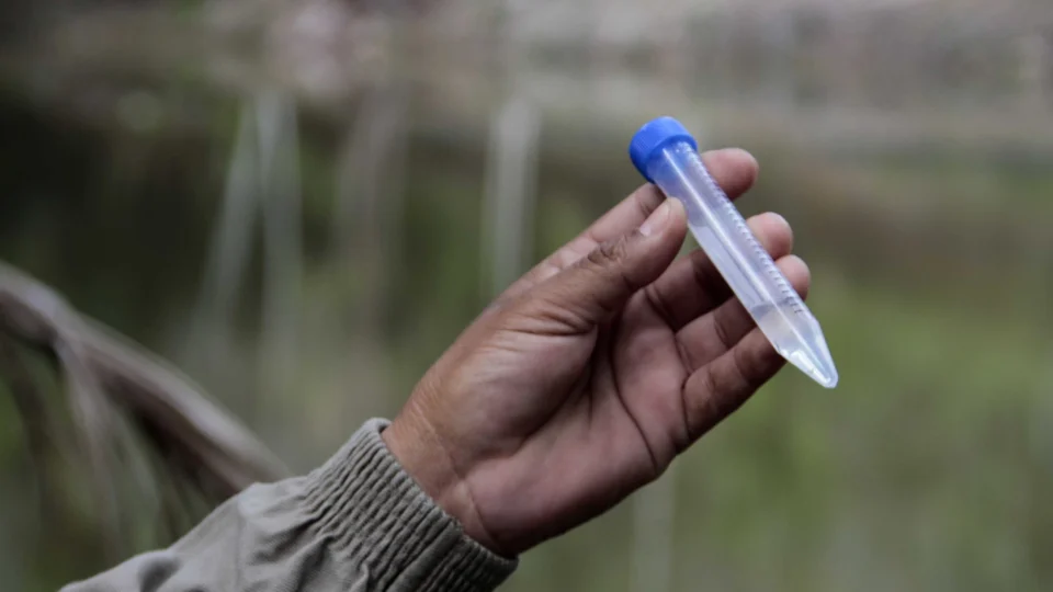 Malária: Manaus apresenta redução do número de casos dos últimos 4 anos