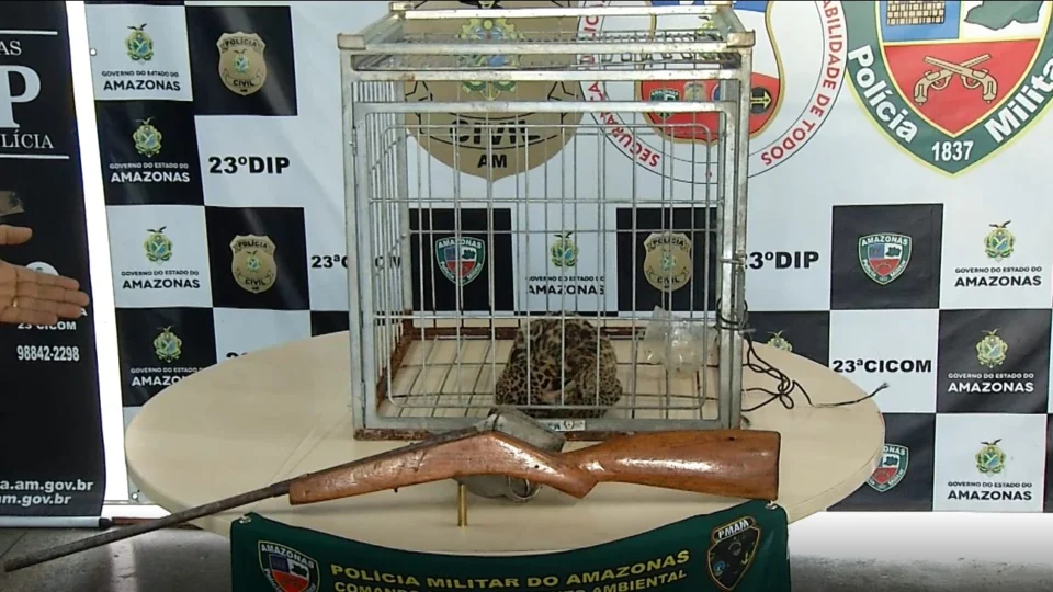 Suspeito de matar onça-pintada e vender filhote por R$ 20 mil é preso em Manaus