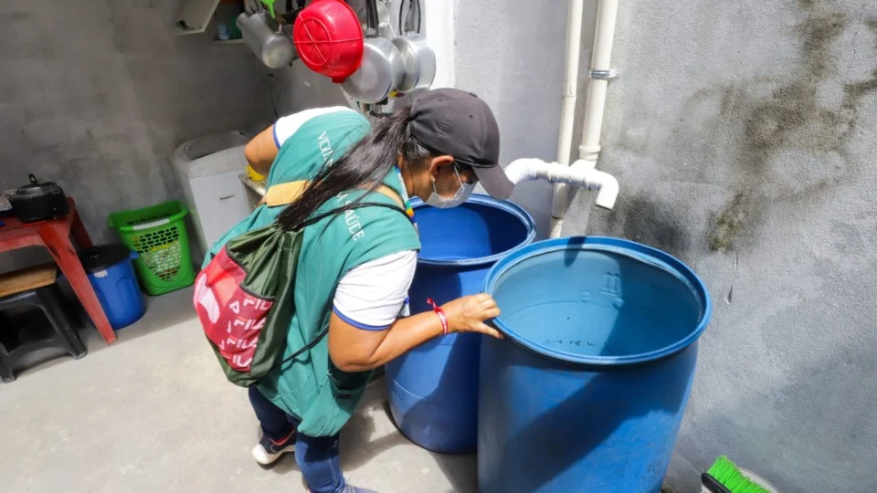 Dengue: Manaus registra redução de 70% dos casos em 2022