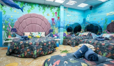 Decoração do BBB 23: entenda como as cores interferem no humor dos brothers