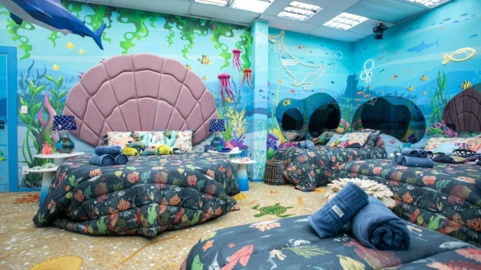 Decoração do BBB 23: entenda como as cores interferem no humor dos brothers