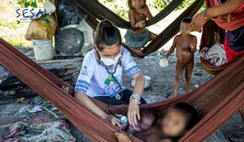 Yanomami: conheça desafios na reintrodução alimentar dos povos amazônicos